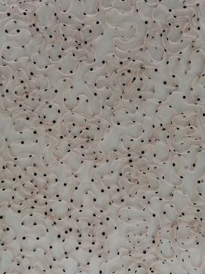 Driedimensionele 3D Bloemenkantstof Dot Flocked Tulle Cording Mesh