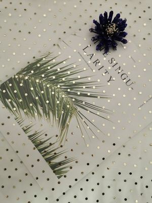Het ivoor Tulle Mesh Foil Printed Polka Dot Metaal schittert Stof