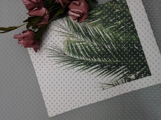 Groen Bijeengekomen Tulle schittert Polka Dot Mesh Fabric