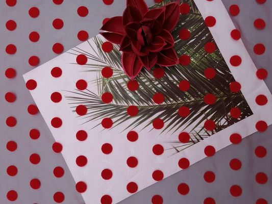 Rode Grote Polka Dot Tulle Flocked Mesh Fabric
