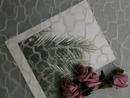Het Kantstof van borduurwerkmesh french chantilly decorative geometric