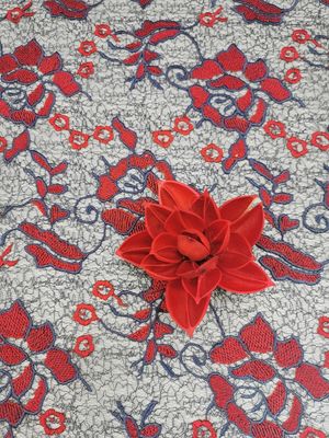 Het rode Grote Bloemen Gekleurde Borduurwerk haakt de Vrouwelijke Kleding van de Kantstof