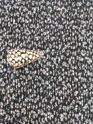 Chrysant 100% Polyester Gedrukt Mesh Pleated Lace Fabric