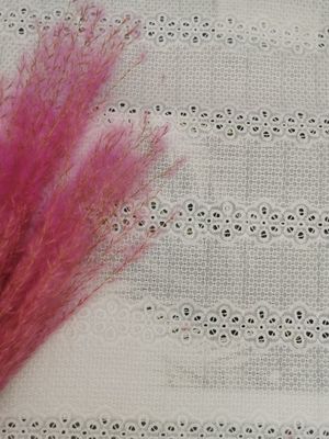 Lineaire Broderie Geborduurde Katoenen van de Oogjestof 100% Nachtjaponstof