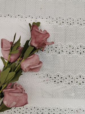 Lineaire Broderie Geborduurde Katoenen van de Oogjestof 100% Nachtjaponstof