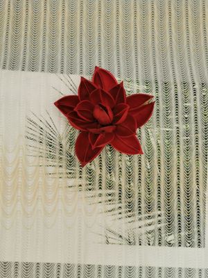 Geribde Lineaire het Borduurwerktoon van Geo - Tone Polyester Lace Trim