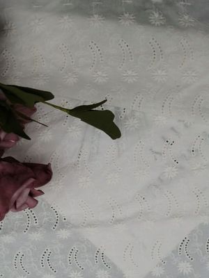 Zachte Kant Geborduurde Katoenen van de Oogjestof Doek voor Partijkleding