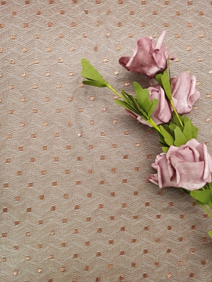 Het bruine Kleur Geborduurde Kant Lichtgewichtdot lace van Tulle van de Kantstof Metaal